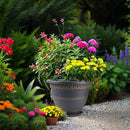 4 Pack 16 Inch Large Plant Pots, Plastic Flower Pot for Indoor & Outdoor with Drainage Holes & Saucer, Plaid Pattern Planters Garden Pots for Herbs Gold by CozyNest Decor