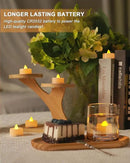 BEICHI Flameless Candles, 12Pack Battery Operated Candles, LED Tea Lights Candles Battery Operated, Flickering Fake Candles for Wedding Halloween Christmas Diwali- Warm Yellow by GreenHaven Gardens