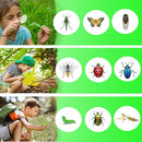 Bug Catcher for Kids - Outdoor Insect Catching Kit with Butterfly Net, Bug Box, and Storage Bag - Non-Toxic Educational Toys for Nature Exploration, for Boys & Girls Ages 3-12 by TinyTreasures Baby Boutique