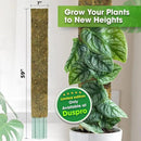 DUSPRO 59’’ Flat Mesh Moss Poles for Climbing Plants Monstera Flat Stacks for Tall Plant with Real Moss Moss Pole for Indoor Plants Plant Stick Support Tall Indoor Plants Support Stakes (1pc., 59'') by GreenHaven Gardens