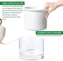 Phoenix Vine 6 Inch Self Watering Planter Pot, Design White Terracotta Pot for Plants, Indoor Cylinder Terra Cotta Pot with Glass Vase, Set of 1, 51-B-F-1 by GreenHaven Gardens