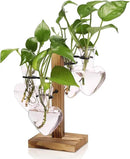 Plants Propagation Stations Plant Terrarium Kit Glass Planters for Indoor Plants House Plant Accessories Gift for Women - 4 Love Bulb Vase by GreenHaven Gardens
