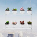 2-Tier Clear Hanging Window Plant Shelves 16inch,Indoor Windows Wall Hanging Plant Stand Flower Display,Flower Pot Organizer Storage for Window Grow Herbs,Microgreens,Succulents,Flower by GreenHaven Gardens