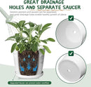8 Inch Plant Pot, Ceramic Planter with Drainage and Saucer, Ceramic Pots for Plants, Indoor Plant pots,Succulent Orchid Flower Pot(Pure White) by GreenHaven Gardens