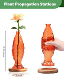 Nacome Fish Vase Glass Plant Terrarium with Wooden Stand,Planter Propagation Station for Home Office Hydroponics Desk Decoration,Unique Gardening Gifts for Plant Lovers Women Mom(Orange) by CozyNest Decor