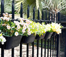 6 Pack Metal Hanging Planter for Outdoor Plants, 10 Inch Black Fence Planters Railing Pots for Garden Patio Balcony Decor, Flower Bucket with Detachable Hooks (Black, 6Pcs) by CozyNest Decor