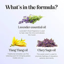 Sleep Essential Oil Blend for Diffuser - Dream Essential Oils for Diffusers Aromatherapy and Relaxation with Clary Sage Ylang-Ylang Roman Chamomile and Lavender for Sleep Time Support (1 Fl Oz)