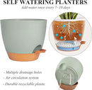 Self Watering Hanging Planters for Indoor Plants 3 Pack Macrame Plant Hangers with Drainage Holes Pots and Hooks for Home Garden Decor Green by GreenHaven Gardens