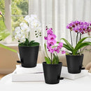 Orchid Pots with Holes, 6 Inch Self Watering Orchid Pot 2 Pack Plastic Plant Pots for Orchid, Flower (Black) by GreenHaven Gardens