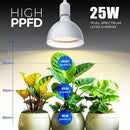 Barrina Hanging Grow Lights for Indoor Plants, 25W Full Spectrum, with Timer and 16.4FT Power Cord, Pendant Plant Lights for Indoor Growing, Large Tall Plant, Garden, Flowers, Greenhouse by GreenHaven Gardens