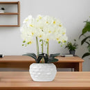 Orchid Artificial Flowers with White Vase Large Silk Faux Phalaenopsis Flowers for Dining Room Table Floral Centerpieces Indoor Decoration,White by CozyNest Decor