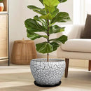 Ceramic Planters for Indoor Plants - 10 Inch Plant Pot with Drainage Hole and Saucer, Large Flower Pot for Home Decor, White/Black by GreenHaven Gardens