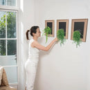 Walnut Wooden Frame Wall Hanging Planter for Hydroponic Plants，12'' x16''inch Wall Vase with Oblate-Shaped Acrylic Propagation Station，Bathroom, Office, or Living Room Decor, Set of 3 by CozyNest Decor