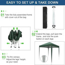 Outvita 6.5x6.5ft Pop Up Canopy Tent, Outdoor Instant Shelter Folding Canopy with 4 Side Walls and Carry Bag for Commercial Events, Party, Backyard BBQ, Camping Green by GreenHaven Gardens