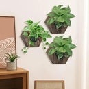 Hexagonal Wooden Wall Planter, Self Watering Living Vertical Planter Indoor, Wooden Frame Planter Wall Decoration Home Office,2pc Walnut by CozyNest Decor