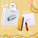 BabyFat 7 Hole Blues Mini Harmonica Set,Diatonic Harmonica with free lanyards,Gifts for Professional Players and Beginners,Easy-playing Musical Instrument(Key of G） by TinyTreasures Baby Boutique