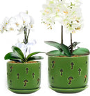 KERUITA Orchid Pots with Holes, 6 inch + 5 inch Orchid Planters with Dancing Mushroom Shaped Holes, Enhanced Drainage and Ventilation,Green Flower Pots for Indoor/Outdoor Plants for Repotting by GreenHaven Gardens