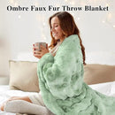 Bcareself Faux Fur Blanket Two Sided Ultra Soft Fluffy Reversible Fuzzy Throw Blanket for Women Men Double Sided Ombre Faux Luxe Faux Fur Thick Minky Blanket for Couch Bed by CozyNest Decor