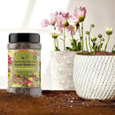 Geva Grow on The Go Seed Shaker - Northwest Wildflower Seeds Regional Mix - Organic, Non-GMO - 100% Pure Seed - 20 Different Wildflowers Seeds of Annual and Perennial, 2oz by GreenHaven Gardens