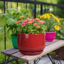 G EPGardening Ceramic Plant Pots - 9 Inch Flower pots for Indoor Outdoor Plant, Round Planter with Drainage and Saucer, Modern Home Decor, Gift for Women Men, Red by GreenHaven Gardens