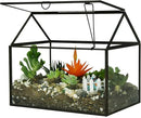 Black 1 Large Glass Plant Terrarium Kit with Lip Greenhouse for Succulents by GreenHaven Gardens