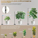 GLOWRIUM Standing Grow Light with Auto-Timer, 36W Vertical Grow Lights for Indoor Plants,3 Light Modes,268 LEDs Detachable Full Spectrum Plant Lights for Wide Area Coverage in Indoor Plants (60 in) by GreenHaven Gardens