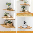 Corner Shelf, Solid Oak Wood Floating Corner Shelf Wall Mount Round End Floating Speaker Shelves with Wire Hole for Small Plant Photo for Bedroom Kitchen, Living Room by CozyNest Decor