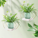 2 Pack Hanging Planter Holder for Indoor Plants, Plant Hanger with Sturdy Wood Base,Modern Boho Macrame Wall Ceiling Window Stands(Plants/Pots Not Included) by GreenHaven Gardens