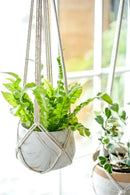 Dahey Macrame Plant Hanger Indoor Hanging Planter Basket Handmade Woven Cotton Rope Flower Pot Decorative Crochet Plant Holder Stand for Boho Home Decor No Tassels,35 Inch,Set of 2 by GreenHaven Gardens
