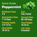 HOME GROWN Peppermint Seeds 2 Pack (Mentha × piperita) – 4,740 Heirloom Mint Seeds for Planting – 𝗡𝗢𝗡-𝗚𝗠𝗢, 𝗨𝗦𝗔-𝗦𝗢𝗨𝗥𝗖𝗘𝗗 – Grow Indoors or Outdoors, Kitchen Herb Garden Favorite by GreenHaven Gardens