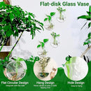 Ivolador Wall Hanging Planter Propagation Station Glass Flower Vase for Hydroponics Plants, Home Office Living Room Decor Gift, Set of 4 by GreenHaven Gardens