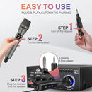 Aveek 2.4GHz Wireless Microphone System, 2 Rechargeable Mics and Receiver, Plug & Play for Karaoke Machine, Party Speakers, Home Entertainment, Wedding & Events - Crystal Clear Sound, 100ft Range by TinyTreasures Baby Boutique