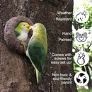 Mom and Baby Hummingbird Tree Hugger, Resin Bird Figurines Art Sculpture, Hanging Garden Statue Tree Peeker Ornament for Patio Lawn Porch Yard Outdoor Decorations by GreenHaven Gardens