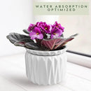 6 inch Self Watering Pot for Indoor Plants, African Violet Pot Ceramic, Flowers Planter (4 inch Opening), Holds 3 Weeks of Water (1 Pack) by GreenHaven Gardens
