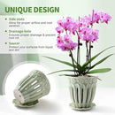 5" Ceramic Orchid Pots with Holes | Crackle Glazed Orchid Pot with Drainage and Separate Saucer | Ideal Plant Pot for Repotting Orchids and Other Flowers(Green) by GreenHaven Gardens
