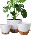 montresor 12/10/8 Inch Self Watering Pots for Indoor Plants Plastic Large Pot for Outdoor Plants, Water Level Window & Spacious Reservoir Flower Pots Decorative Planter with Drainage and Tray (White) by CozyNest Decor