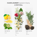 Aromaplan Scents, Clean Smelling Essential Oils, Clean Laundry Inspired by D. (5 Fl Oz /148ml)-Fresh Scent Essential Oil for Diffuser, USA Fragrance, Bigger Bottle, Bolder Aroma & Longer Lasting by CozyNest Decor