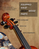Aileen Solid Wood Violin 4/4 Full Size for Adults and Kids Age 12+, Fiddle Set for Beginners Student, Professional Violin Starter Kit with 12 Accessories (Selected European Solid Spruce and Maple) by TinyTreasures Baby Boutique