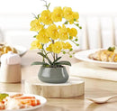 Orchid Artificial Flowers with Gray Vase Large Silk Faux Phalaenopsis Flowers for Dining Room Table Floral Centerpieces Indoor Decoration,Yellow by CozyNest Decor