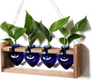 Plant Propagation Stations Heart Plant Terrarium Kit Gift for Women Plant Lover Glass Vases by GreenHaven Gardens
