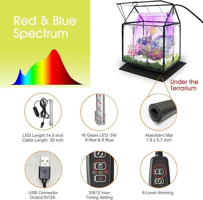 Plant Terrarium with Grow Light, Rifny Indoor House Shape Glass Terrarium Kit with Lid, Small Terrarium Jar Planter for Venus Fly Trap Succulent Live Air Plants Decor for Home Office (Without Plants), photo 8 of 8