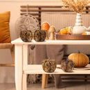 naturevibe 4.3 Inches Elegant Feathered Pumpkin Decor Set of 4 for Thanksgiving Decorations, Natural Feather Pumpkins as Fall Home Decor,Centerpieces for Tables or Autumn Harvest Gifts by CozyNest Decor