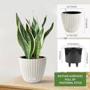 Dexceder 9x8 Inches Rattan Self Watering Planter Indoor Outdoor, Inner Pot Design, Thickened Table Flower Plant Pot with Water Level Indicator (Ivory White) by GreenHaven Gardens