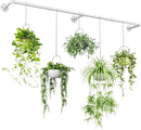 Bamworld Hanging Planters for Indoor Plants Plant Hanger Indoor Hanging Plant Holder Window Plant Shelves Metal Rod(Pot&Plant Not Included) 70in White by GreenHaven Gardens