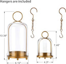 6" & 4" Versatile Modern Metal Hurricane Lantern in Set of 2 with Handmade Sturdy Glass Dome for Pillar Candle & Plants (Brass, 4"x7.5" &6.3"x11.2") by CozyNest Decor