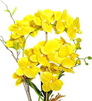 Orchid Artificial Flowers with Gray Vase Large Silk Faux Phalaenopsis Flowers for Dining Room Table Floral Centerpieces Indoor Decoration,Yellow by CozyNest Decor