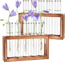 2pcs Desktop Glass Plant Propagation Station with 10 Test Tubes in Wooden Stand - Hydroponic Plants Cutting Office Home Decoration and Garden Decor Terrarium (10 Tubes) by GreenHaven Gardens