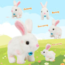 Easfan Bunny Plush Toy Jumping Spotted Rabbit Talking Hopping Ears Nose Moving Educational Plush Toy Singing Shaking Glowing Interactive Toy Electric for Toddlers Kids by TinyTreasures Baby Boutique