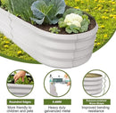 4x2x1ft Oval Galvanized Raised Garden Bed Outdoor 9-in-1 Large Metal Modular Planter Box Raised Beds for Gardening,Vegetables,Fruits,Flowers & Herbs (White) by GreenHaven Gardens