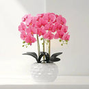 Orchid Artificial Flowers with White Vase Large Silk Faux Phalaenopsis Flowers for Dining Room Table Floral Centerpieces Indoor Decoration,Fuchsia by CozyNest Decor